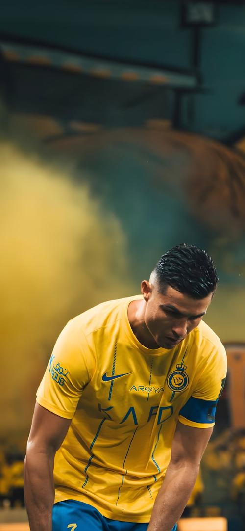 [德甲]第22轮：斯图加特VS沃尔夫斯堡